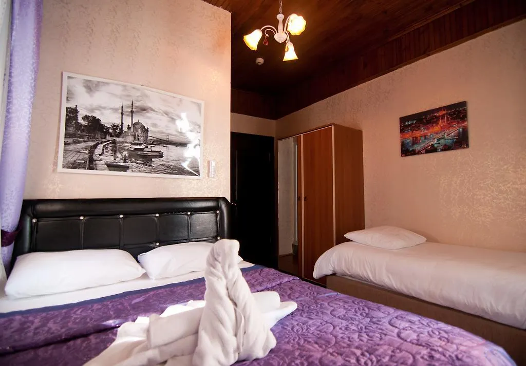 Sultanahmet Wooden House Hotel Istanbul 3*,