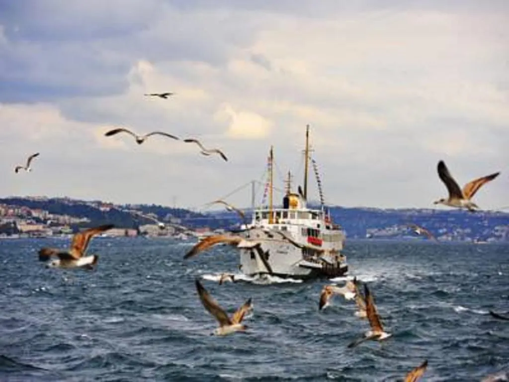 Sultanahmet Wooden House Hotel Istanbul Guest house